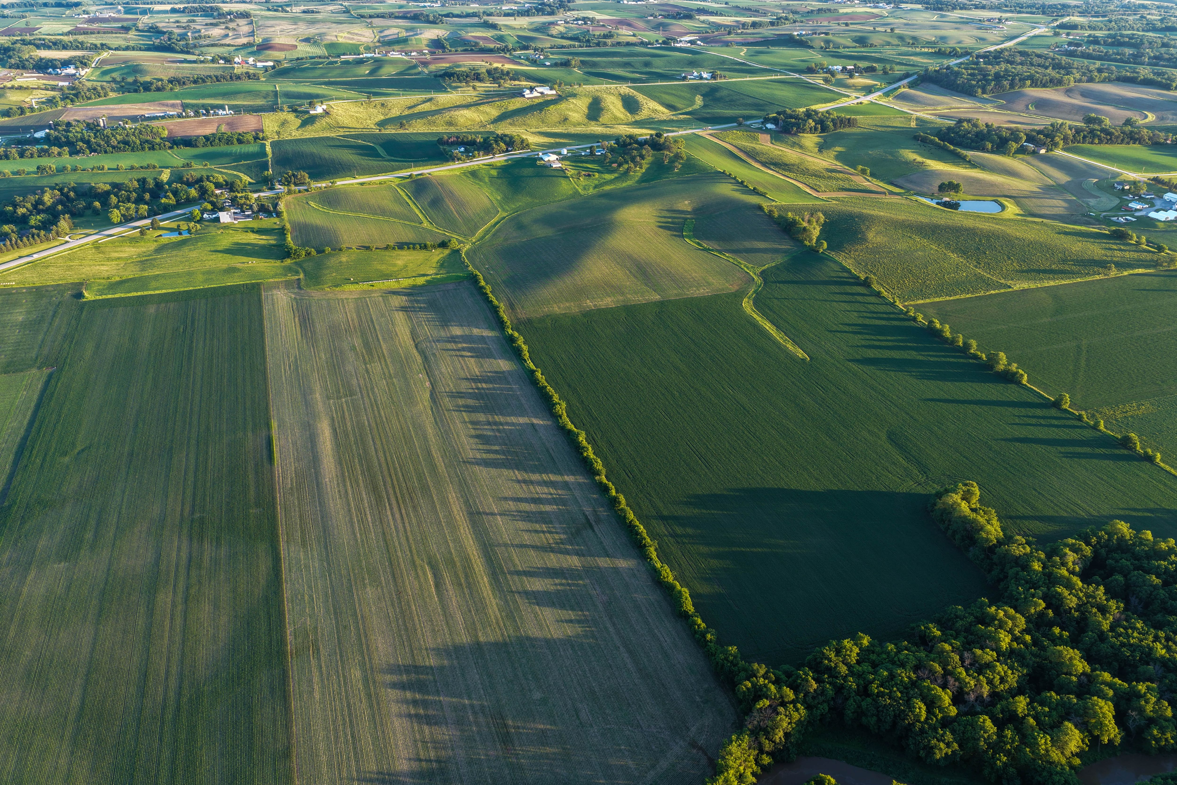 Listing Photo: Hard Surface road plus 40 acre Building Site Johnson County Iowa-14